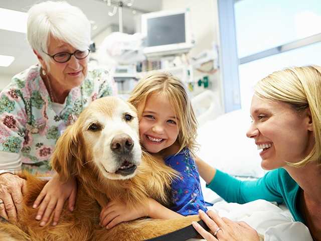 Young female patient petting a dog during therapy.