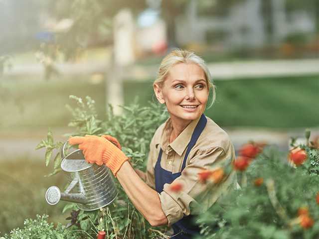 Older woman lifts a watering can inside a greenhouse